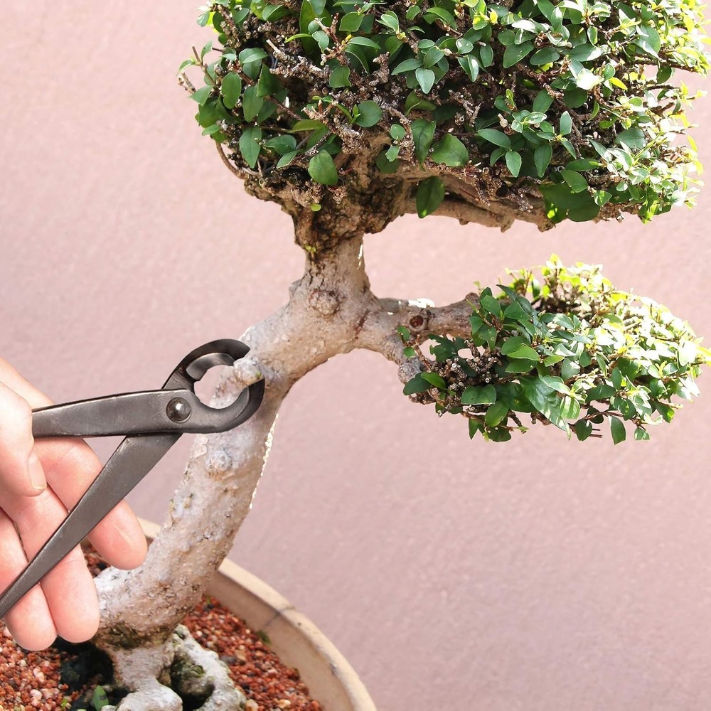 Bonsai 8" Concave Cutter Tool - 1 Piece