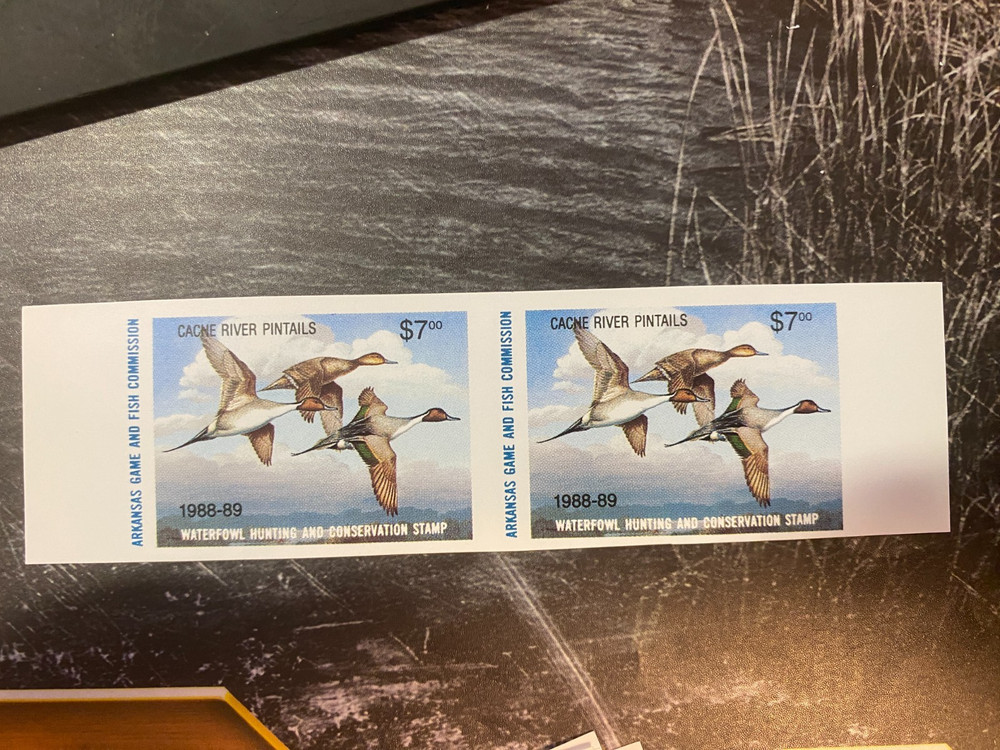 1988 Arkansas State Duck Stamp, unperforated Pair