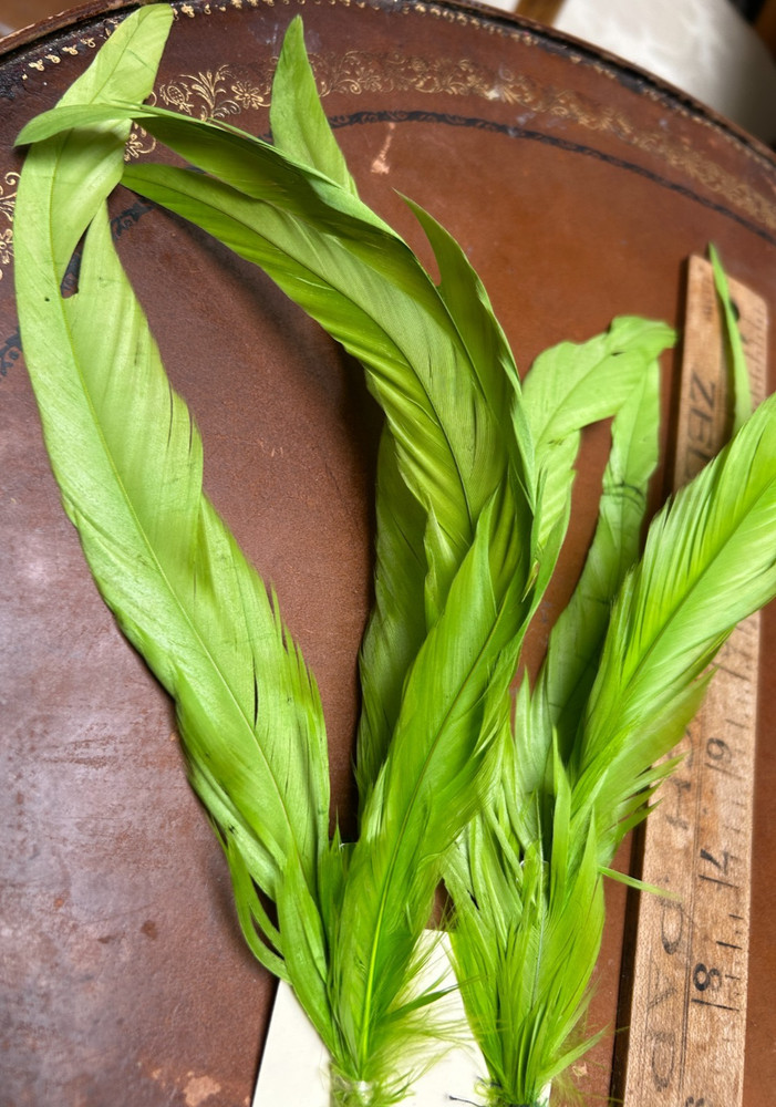 feathers hair clip lime 3-4 in a bundle