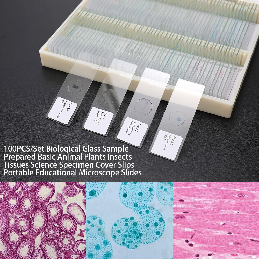100PCS/Set Biological Glass Sample Portable Educational Microscope Slides J4E6