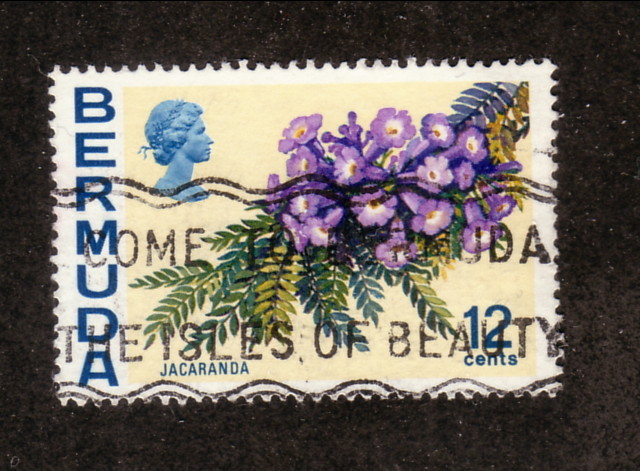 1970 Bermuda #263 Used Jacaranda