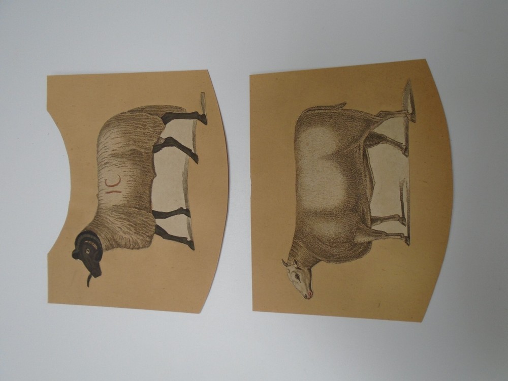 VICTORIAN SCRAP ON CARD SHEEP X2