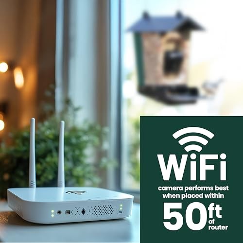 Perky-Pet Solar Powered Smart Bird Feeder with Camera - Forest Green