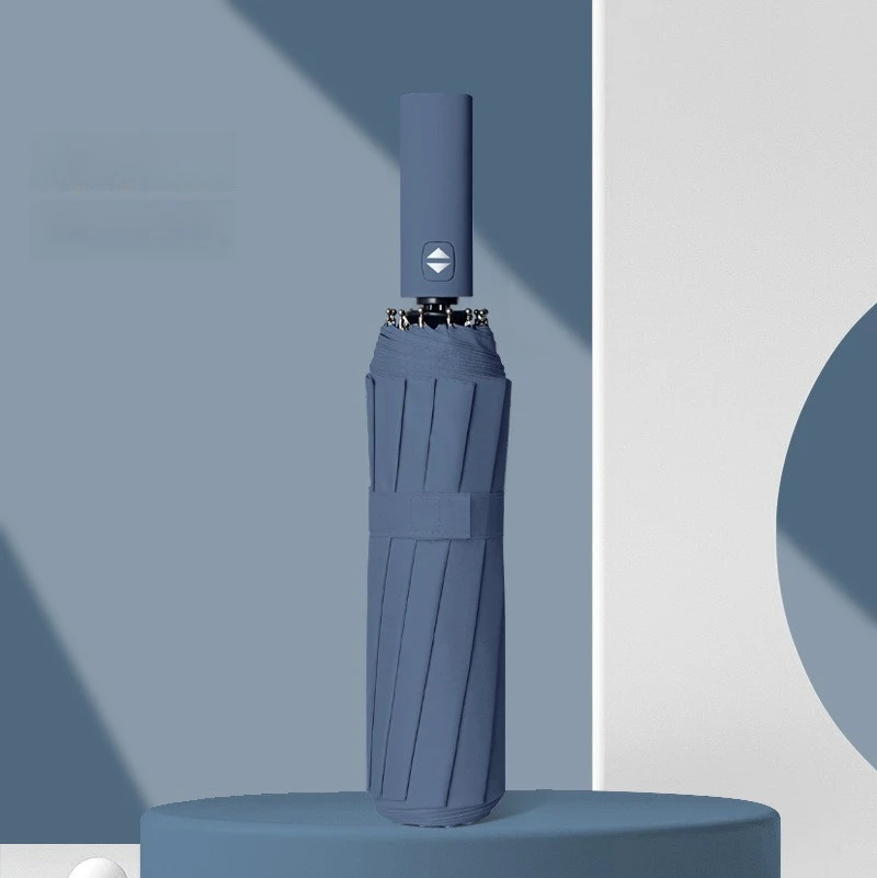 12 Bone Morandi Fully Automatic Umbrella Black Glue Sunscreen Sun Umbrella Plus