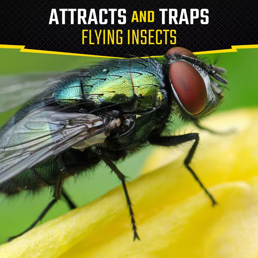 Fly Stick Insect Trap (4-Pack)