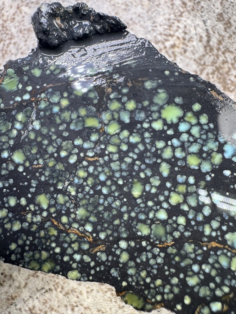 Natural Nevada Variscite rough star fox