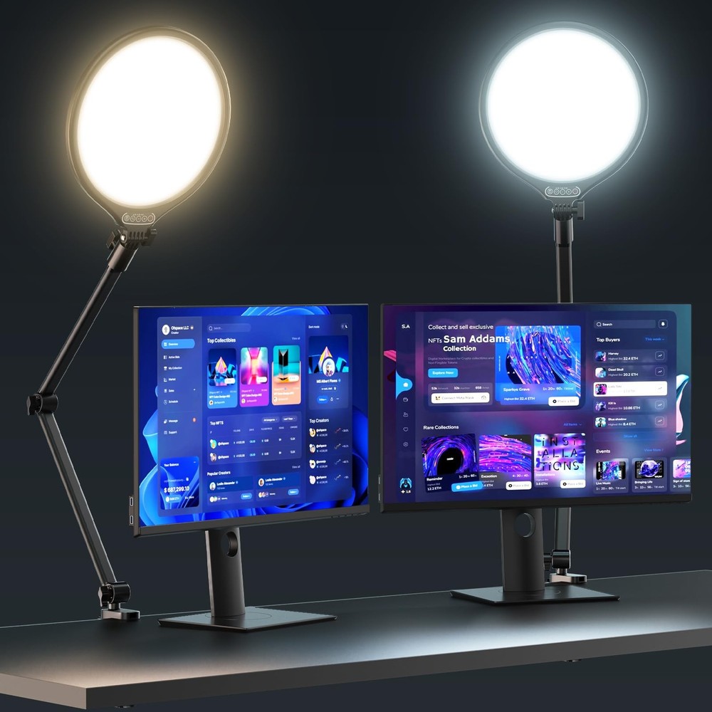 10" Key Light for Streaming, Desk Ring Light with Adjustable Arm, Zoom Lighti...