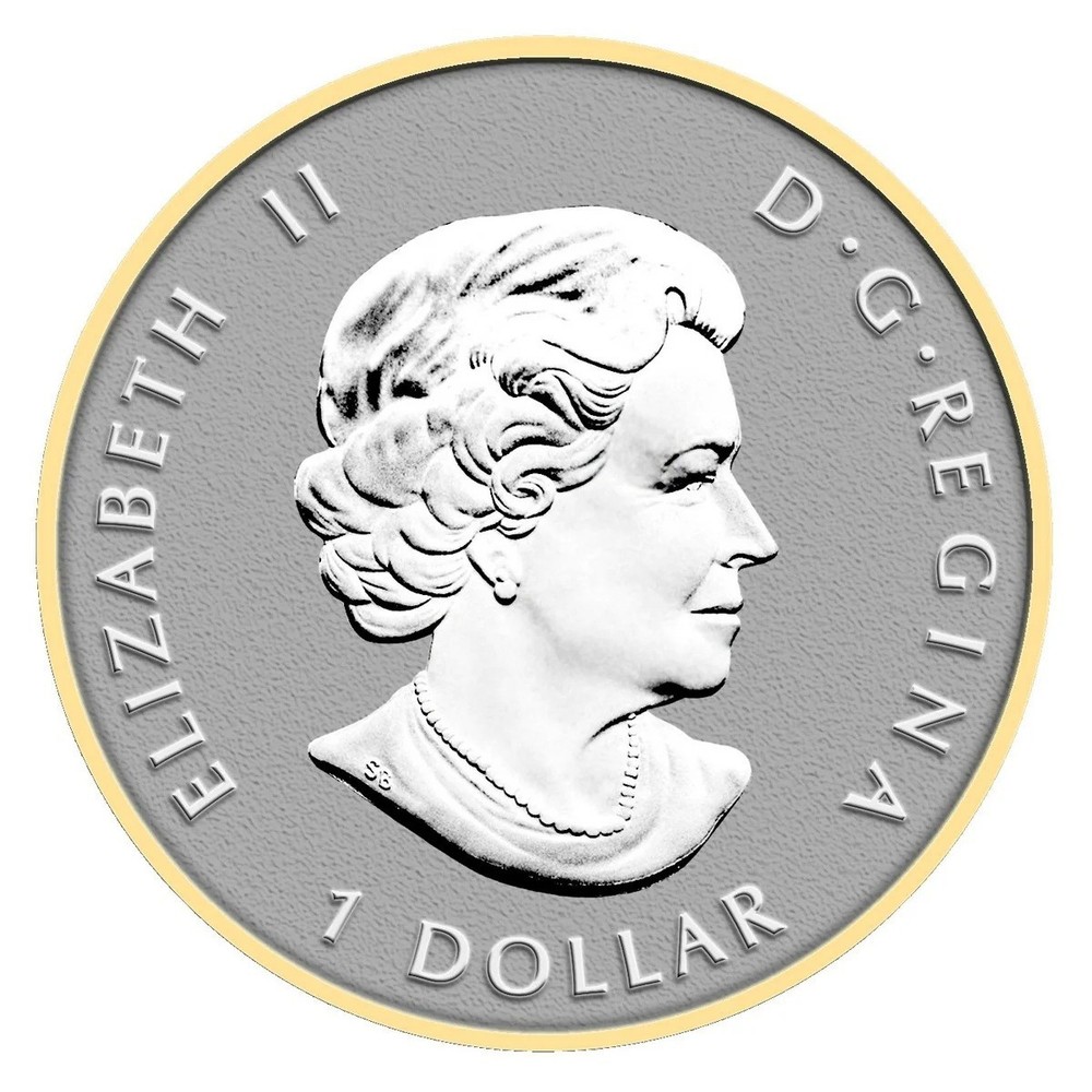 2014 Canadian 5-Coin Silver Reverse Proof Maple Leaf Set