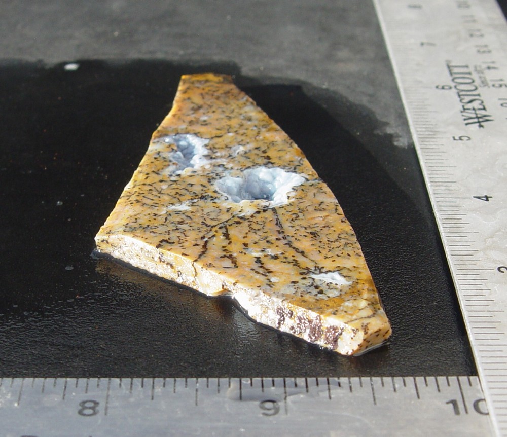 Cheetah Agate Lapidary Slab T988