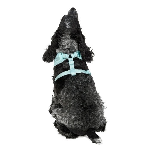 Vibrant Life Polyester & Spandex Adjustable Dog Harness, Blue, Medium