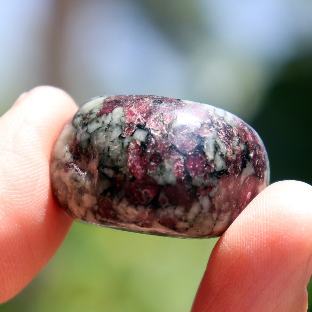 Polished Eudialyte (EUD32)