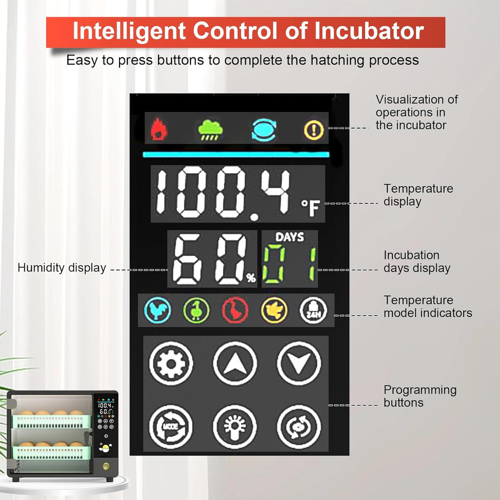 24-Egg Automatic Incubator with Humidifier and Temperature Control