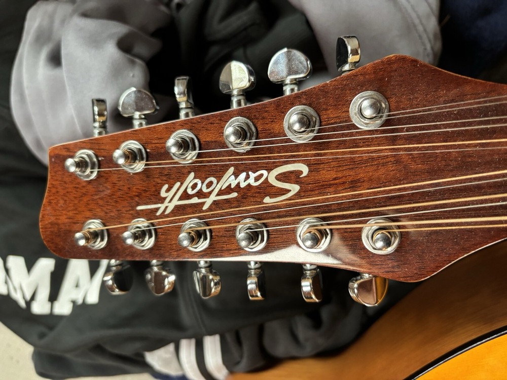 Sawtooth 12 String Guitar + Chromocast Hardshell Case