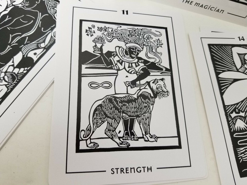 Light and Shadow Tarot Deck Brian Williams Book set Brian Williams NWOT Boxed