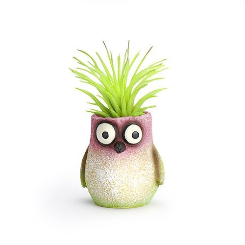Blobhouse Baby Bitty Mini Hummingbird Planter
