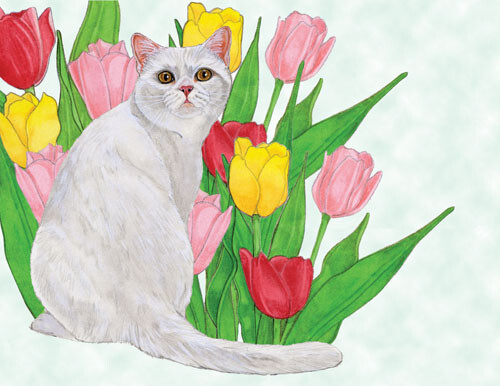 Cat White Blank Note Cards Boxed