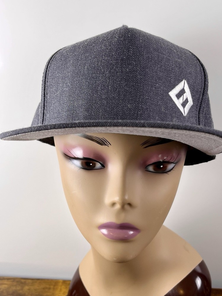Foo Fighters Embroidered Logo Gray Snapback Hat Rock N Roll