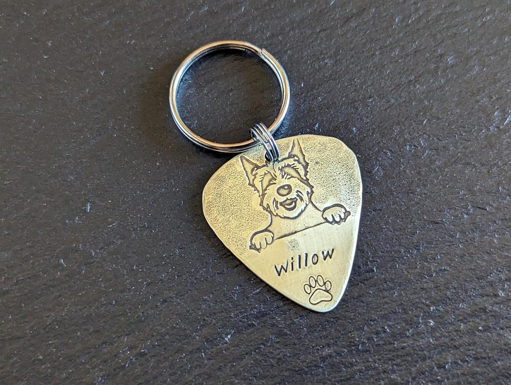 Brass dog tag customized for you