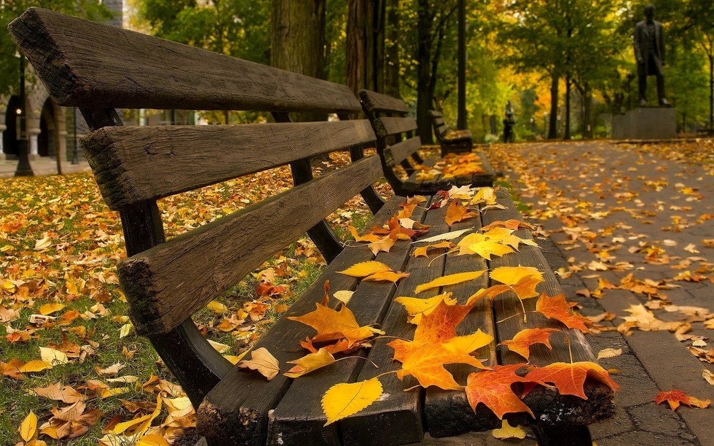 Landscape bench leaves fall Custom Gaming Mat Desk