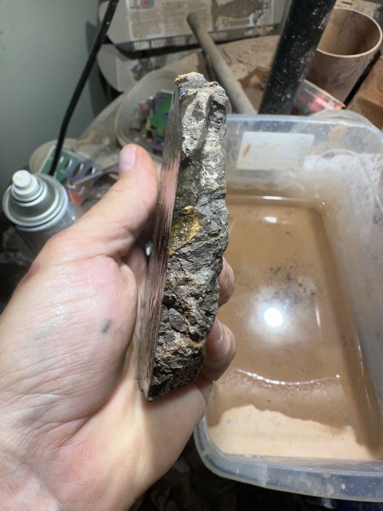 Dinosaur bone rough **hxtled end cut.