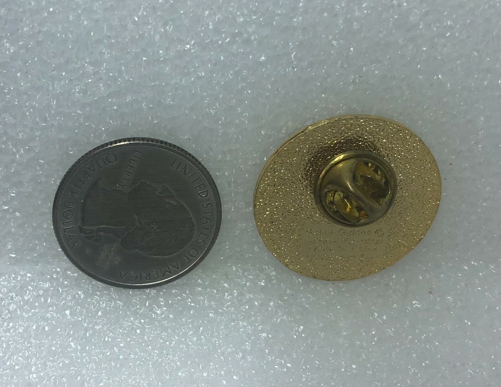 Winner's Circle Star Pin