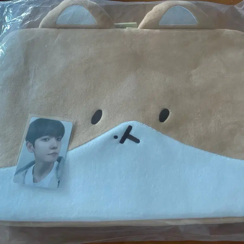 Baekhyun Laptop Pouch - Mint Condition