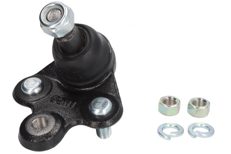 Control Arm Pin Front Left (Left) - Right