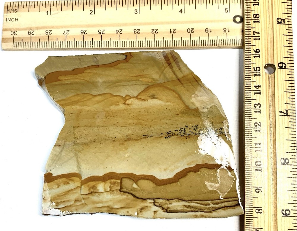 owyhee picture jasper Slab