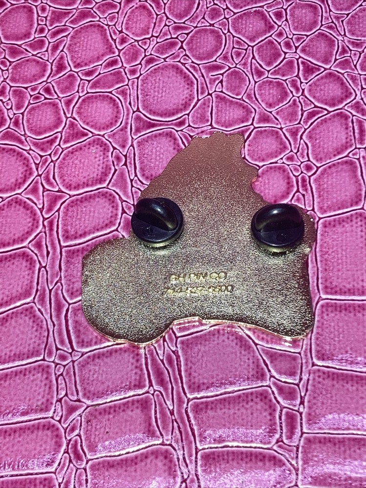 Washington Baseball DRAGONS Pin