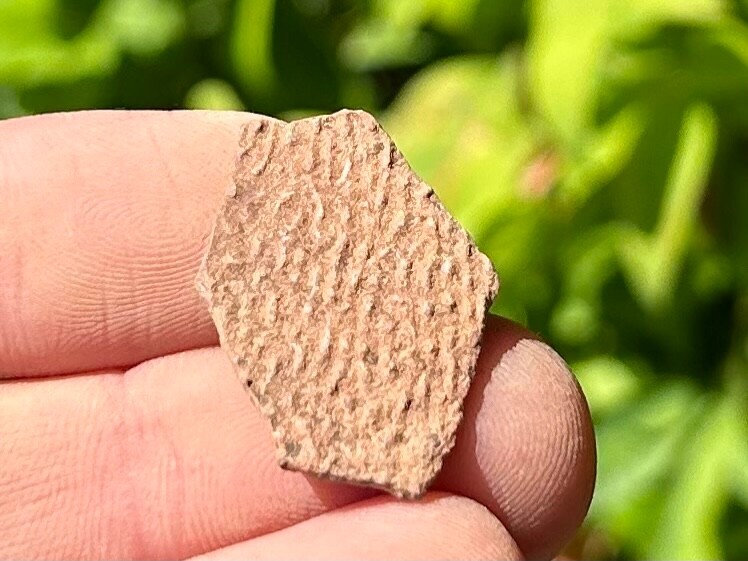 Theropod Dinosaur Eggshell Fossil Raptor from China Cretaceous Age Dino Egg
