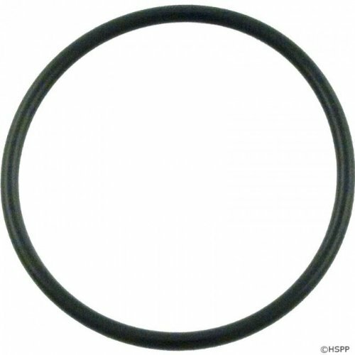Pentair 355330 Strainer Flange O-RIN