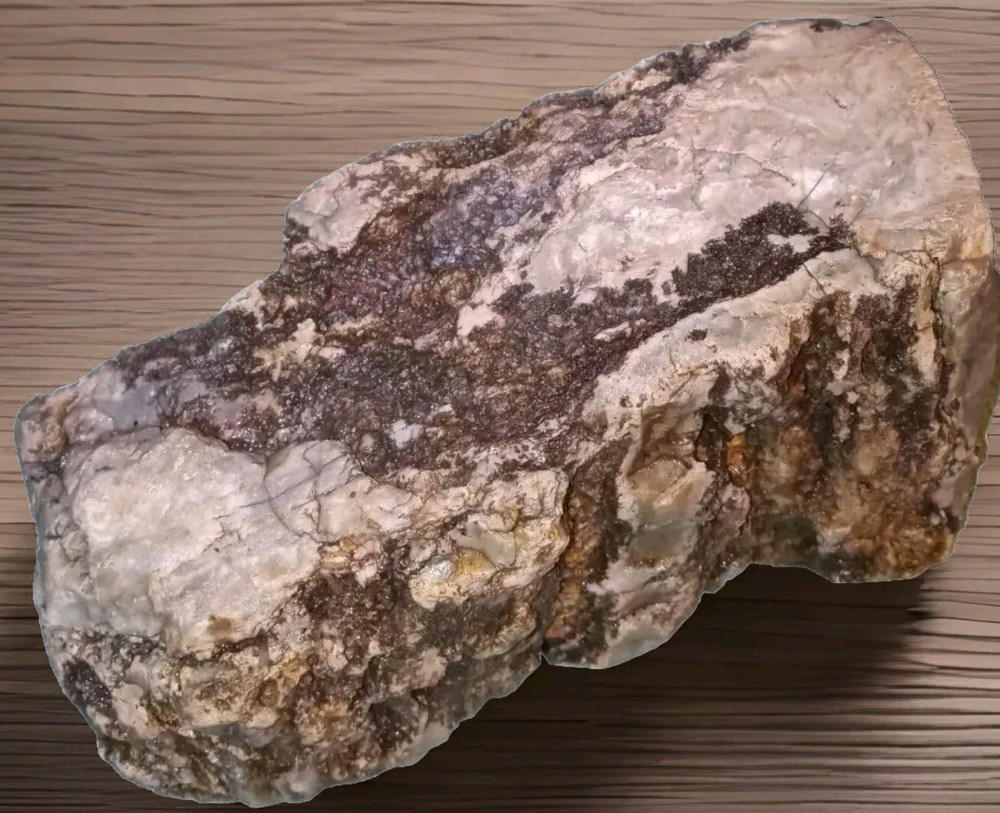 Petrified Wood Opalized Rough AZ 2 lbs 8 oz