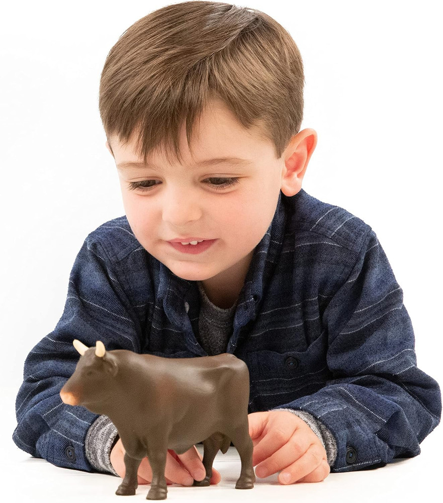 Bull Bull