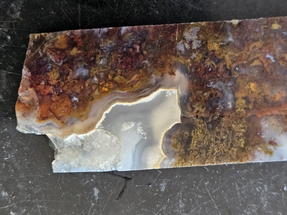 Agate Lapidary Slab With Moss