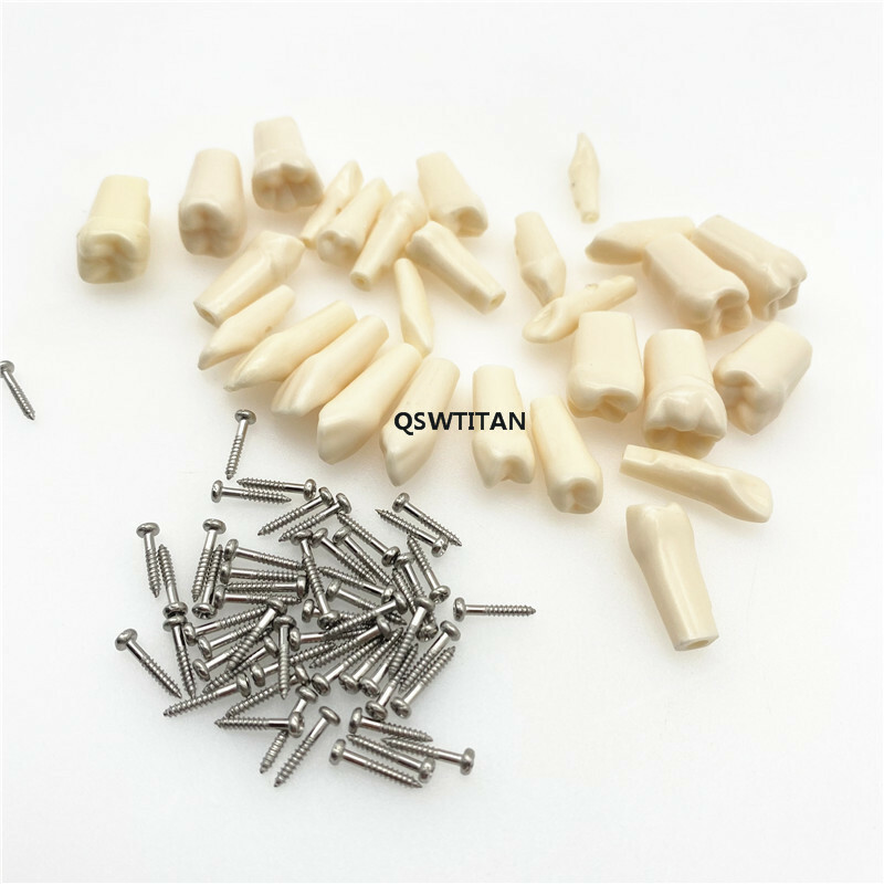 Resin Simulation Tooth Grain Replace teeth For teeth Model macth Nissin brand