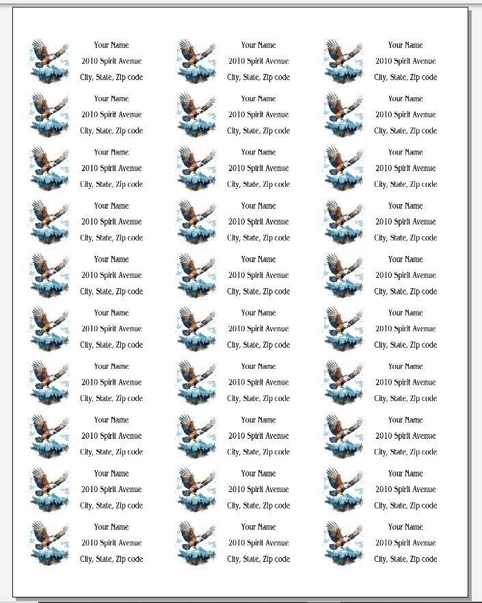 150 Bald Eagle Mountain Top Return Address Labels Personalized Printed