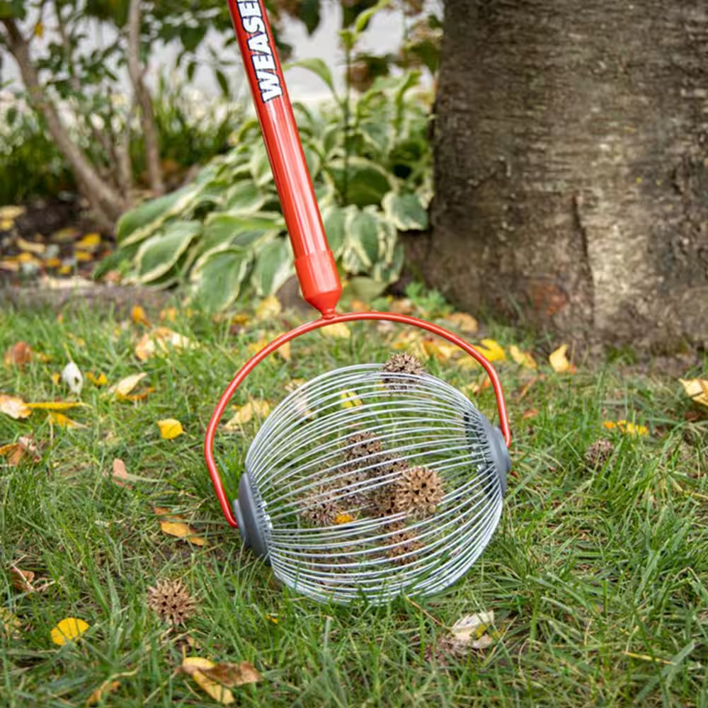 48 In. Weasel Medium Nut Gatherer with Smooth Rolling Cage