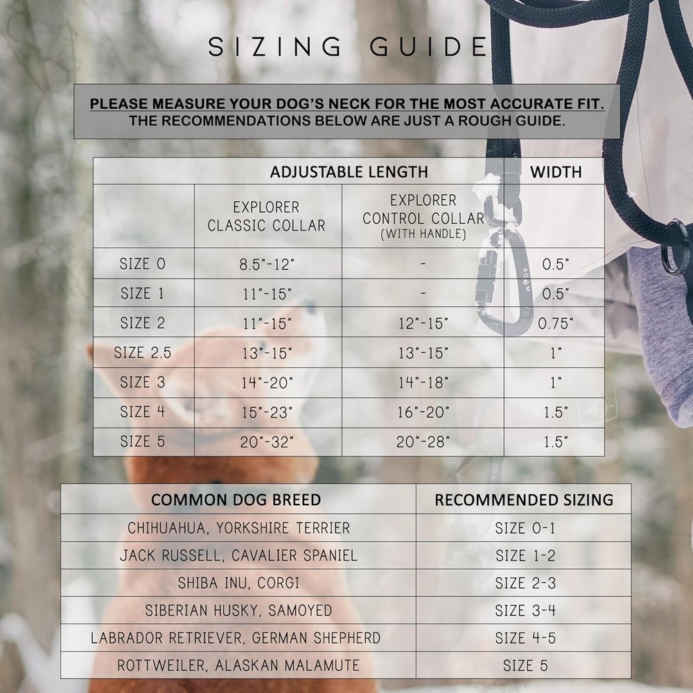 Nylon Dog Collar - Adjustable, Quick-Release Buckle