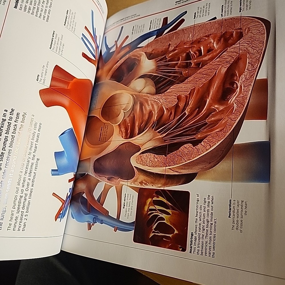 Abacus Brands Virtual Reality Human Body Learning Activity Set VR Goggles