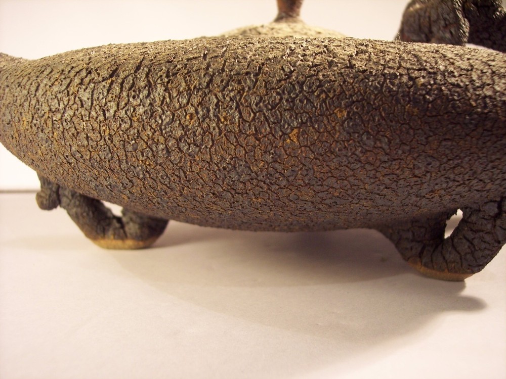 UNIQUE ART TEXTURED TEAPOT "THIRST" TERRIFIC