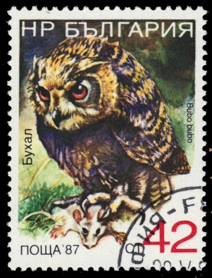 BULGARIA 3328F - Eurasian Eagle Owl "Bubo bubo" (pb21659)