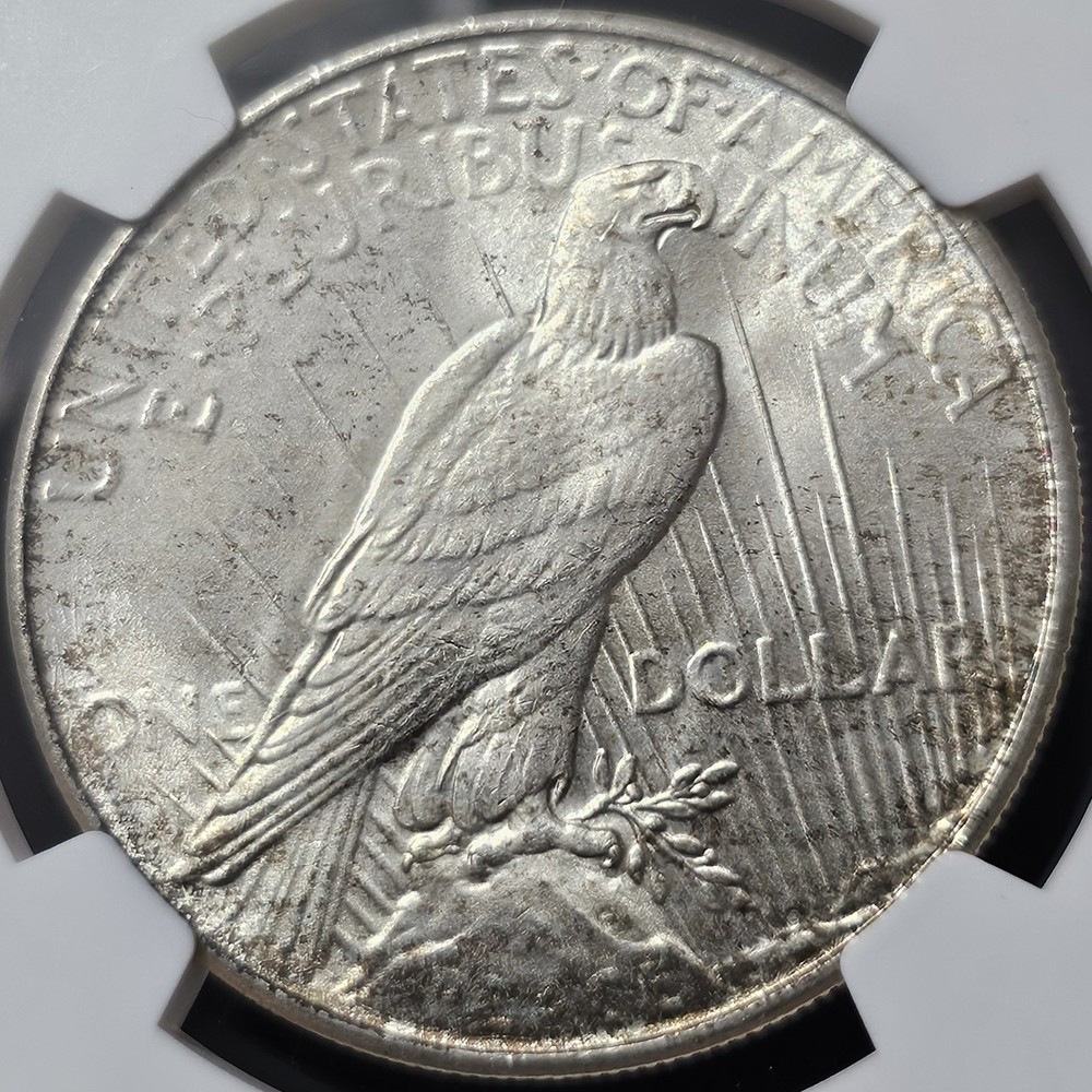 1935 Peace Dollar MS-65+ NGC COLLECTION VIDEO