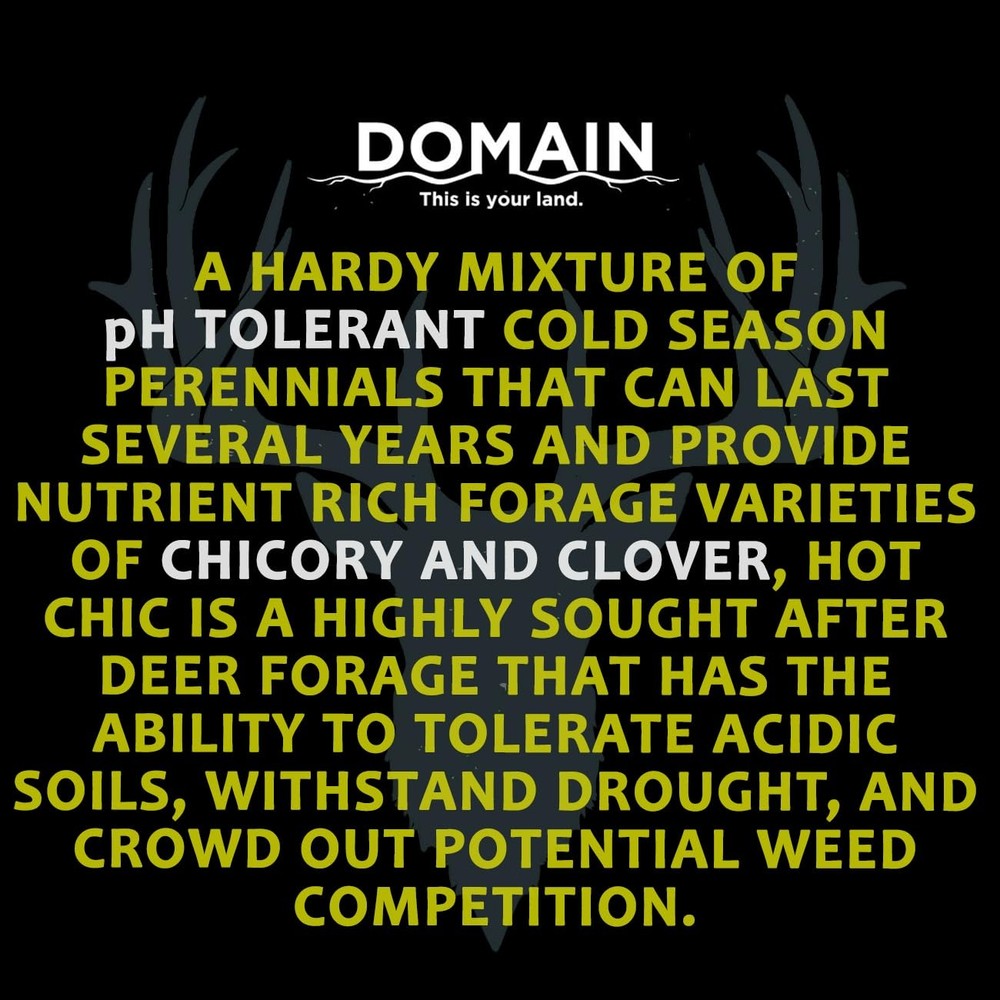 Deer Plot Seeds Bulk Hot Chic Chicory 2 Varieties Sprouting kit