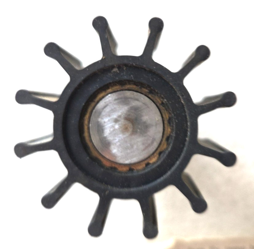 ********************************* GENUINE Jabsco Impeller Neoprene 5986-0001 NEW