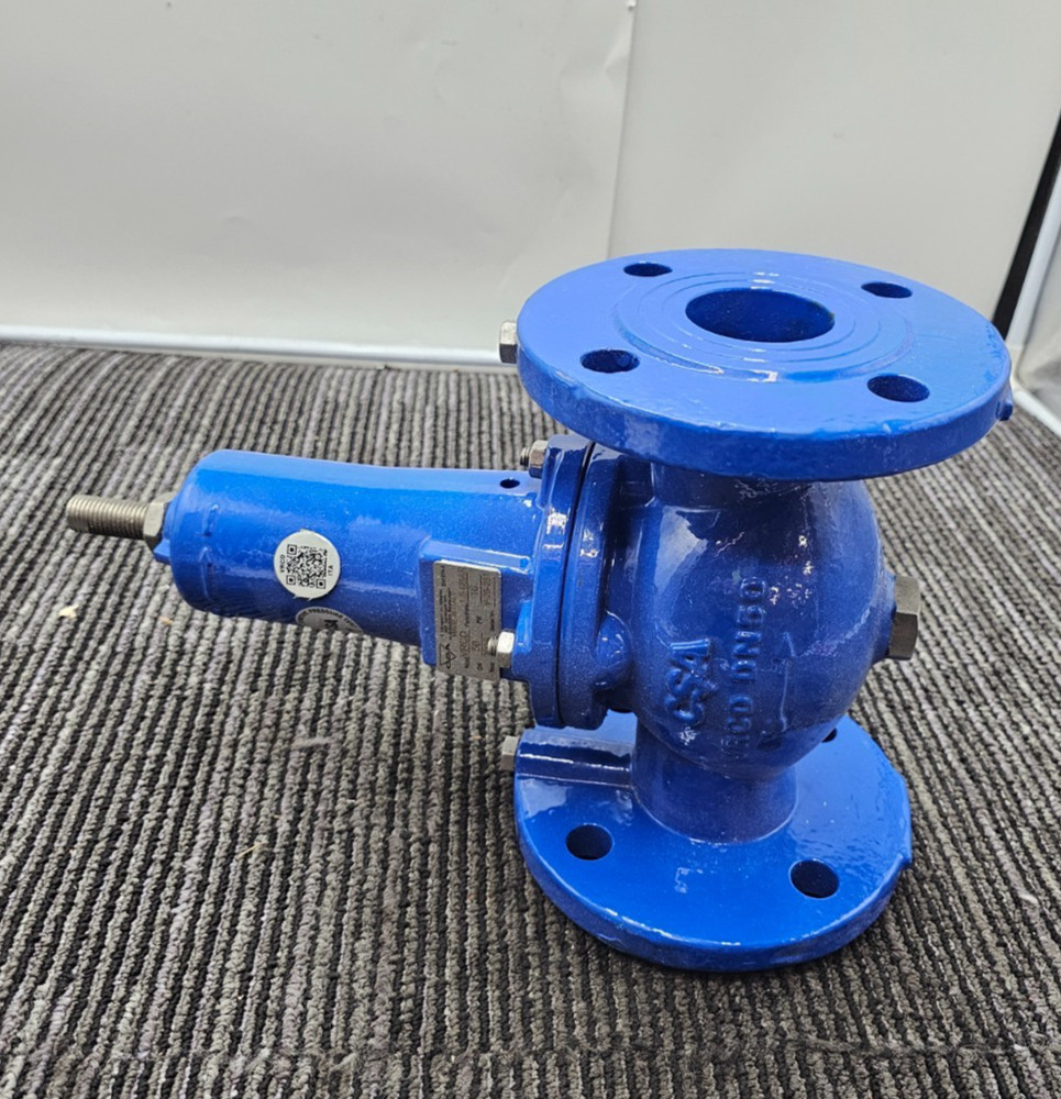 CSA VRCD DN50 Direct Acting Pressure Reducing-Stabilizing Function 1.5-6BAR