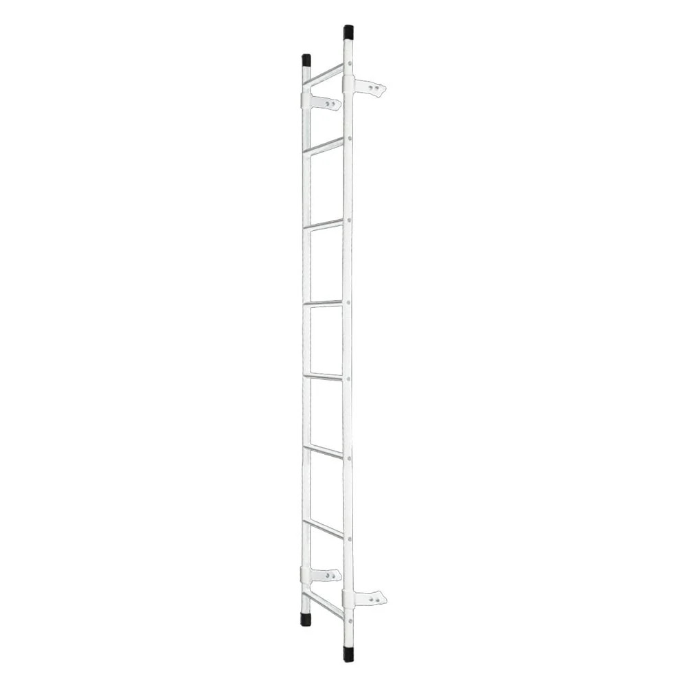 Vantech L007W Straight Rear Access Ladder