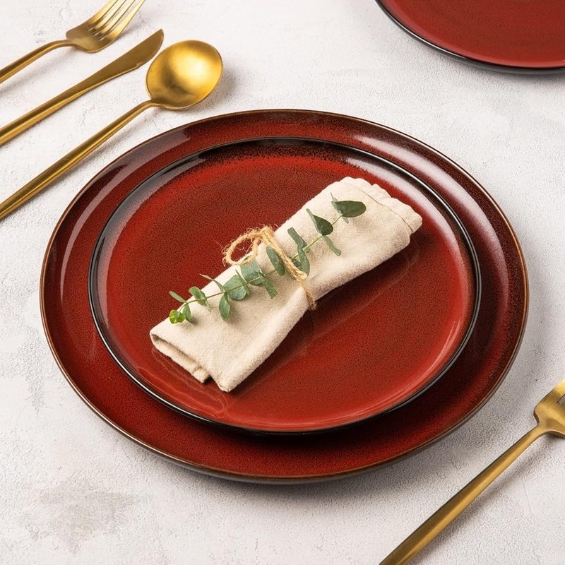 Ceramic Dinner Plates Set Scratch Resistant Oven Safe Unique Design 6 Pieces New