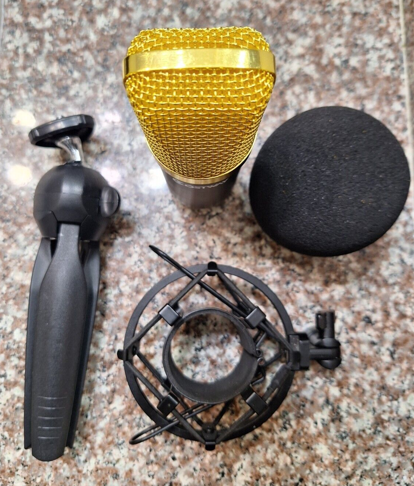 CostWay Microphone