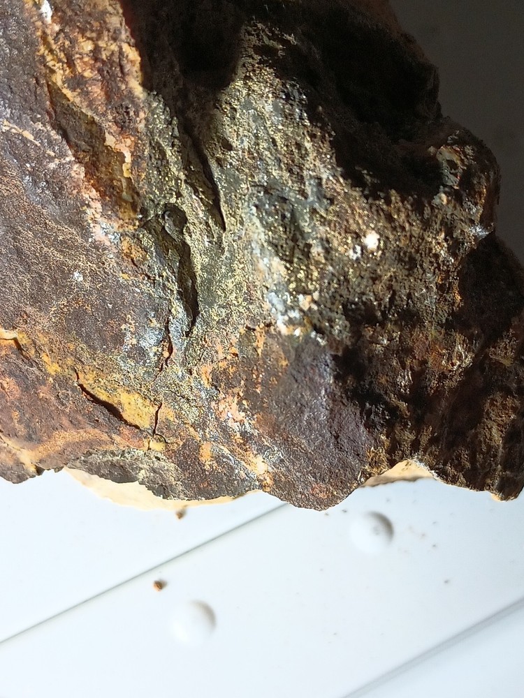 4 lb 2 oz, AZ Rock With Potential Gold