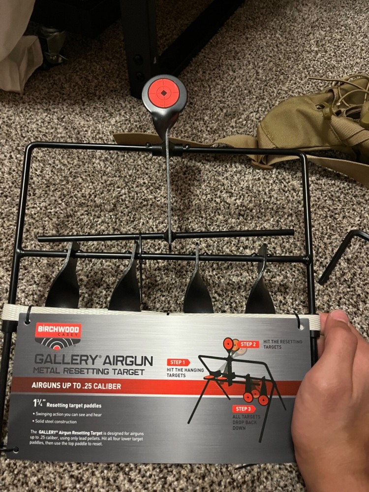 P365 Co2 Sig Sauer with starter kit 